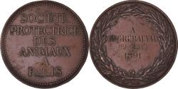 World Coins - France, Medal, Société Protectrice des Animaux, Paris, 1891, Copper,