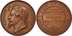 World Coins - France, Medal, Napoléon III, Enseignement du Dessin, Ville de Paris, Arts &