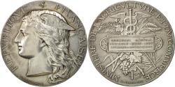 World Coins - Algeria, Medal, Concours Général Agricole d'Oran, 1880, Ponscarme,