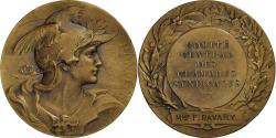 World Coins - France, Medal, Comité Centrale des Chambres Syndicales, Bronze, Bottée,