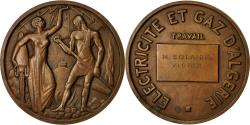 World Coins - Algeria, Medal, Electricité et Gaz d'Algérie, Bronze, Lagriffoul,