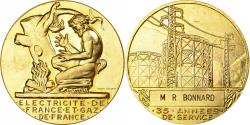 World Coins - France, Medal, Électricité de France et gaz de France, Gilt Bronze, Dropsy