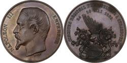 World Coins - France, Medal, Napoleon III, Concours Agricole de Strasbourg, 1856, Copper