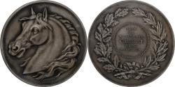World Coins - France, Medal, Cheval, Mr Carret, Maire d'Ardres, Agriculture, Desaide,