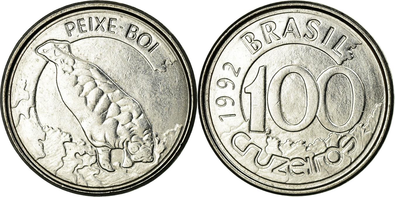 Coin, Brazil, 100 Cruzeiros, 1992, , Stainless Steel, KM:623