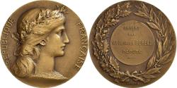 World Coins - France, Medal, Offert par Georges Bureau, Député, n.d., Bronze,