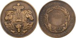 World Coins - France, Medal, Agriculture, Concours général de Nevers, Nièvre, n.d., Bronze