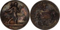 World Coins - France, Medal, Comice Agricole de Rouen, Copper, Lagrange,