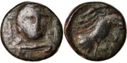 Ancient Coins - Coin, Euboia, Chalkis, Bronze Æ, 290-273/1 BC, , Bronze