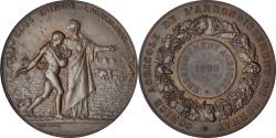 World Coins - France, Medal, Comice Agricole de Bernay, Agriculture, 1895, Henri Dubois