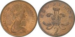 World Coins - Great Britain, Elizabeth II, 2 New Pence, 1971, British Royal Mint,
