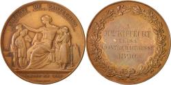 World Coins - France, Medal, French Third Republic, Politics, Society, War, Dubois.A