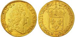 World Coins - France, Louis XIV, Double louis d'or à l'écu, 1691, Paris, Gold,