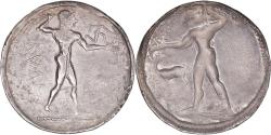 Ancient Coins - Bruttium, Stater, c. 535-500 BC, Kaulonia, Silver, NGC,
