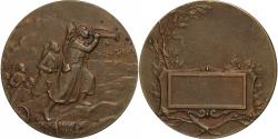 World Coins - France, Medal, Zouaves à l'assaut, Bronze,