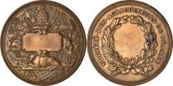 World Coins - France, Medal, Société des agriculteurs de France, Trotin, , Bronze