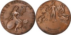 World Coins - France, Medal, Médaille de récompense, Chambre de métiers de France, 1986