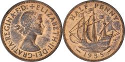 World Coins - Coin, Great Britain, Elizabeth II, 1/2 Penny, 1955, , Bronze, KM:896