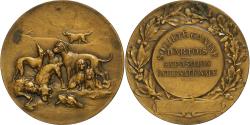 World Coins - France, Medal, Société Canine d'Artois, Bronze, Durand,