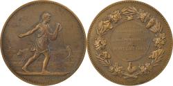 World Coins - France, Medal, Société d'Agriculture de Pont-Lévêque, Lagrange,