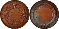 World Coins - France, Medal, Comice Agricole d'Evron, Business & industry, 1889,