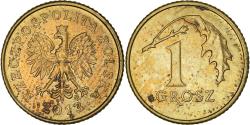 World Coins - Coin, Poland, Grosz, 2013, Warsaw, , Brass