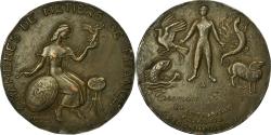 World Coins - France, Medal, Chambre de métiers de France, Guiraud, , Bronze