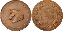 World Coins - France, Medal, Raid des Officiers de 2ème Ligne, Le Matin, Dubois.H,