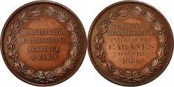 World Coins - France, Medal, Administration de l'Assistance Publique, Paris, 1886,
