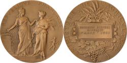 World Coins - France, Medal, Concours Central Hippique de Paris, 1911, Bronze, Alphée Dubois