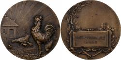 World Coins - France, Medal, Basse-cour Familiale, Lille, Bronze,
