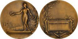 World Coins - France, Medal, Art Nouveau, l'Echo du Nord, , Bronze