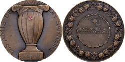 World Coins - France, Medal, Les Amis de l'Aviation Sanitaire, Bronze,