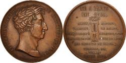 World Coins - France, Medal, Louis XVIII, Arts & Culture, 1824, , Bronze