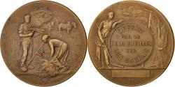 World Coins - France, Medal, French Third Republic, Business & industry, Rivet,