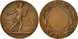 World Coins - France, Medal, Agriculture, Conseil Général du Nord, Lagrange,
