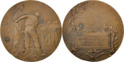 World Coins - France, Medal, French Third Republic, Business & industry, , Bronze