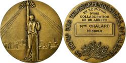 World Coins - France, Medal, Compagnie Industrielle des Télécommunications, Alcatel