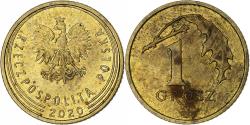 World Coins - Poland, Grosz, 2020