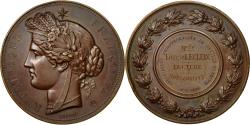 World Coins - France, Medal, Association Philotechnique de Neuilly s/Seine, 1880, Oudiné