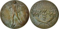 World Coins - France, Medal, French Fifth Republic, Business & industry, Dropsy,