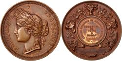 World Coins - France, Medal, French Third Republic, Business & industry, 1893, Desaide