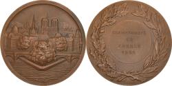 World Coins - France, Medal, Ile de la Cité, Notre Dame, Paris, Sports & leisure, 1955