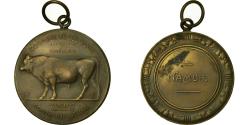 World Coins - Belgium, Medal, Agriculture, Amélioration de la Race Bovine, Namur, Dillens