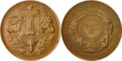 World Coins - France, Medal, Société d'Agriculture de la Nièvre, 1884, Tasset,