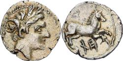 Ancient Coins - Coin, Sicily, 1/4 Shekel, 213-211 BC, Agrigente, Punic occupation,