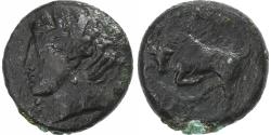 Ancient Coins - Sicily, Hieron II, Æ Unit, ca. 275-215 BC, Syracuse, Bronze,