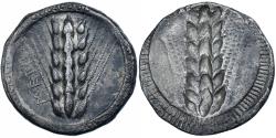 Ancient Coins - Lucania, Nomos, ca. 510-470 BC, Metapontum, Silver, , HGC:1-1028