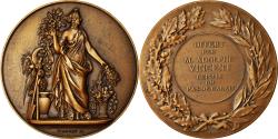 World Coins - France, Medal, Marianne, Offert par Adolphe Vincent, Député du Pas-de-Calais