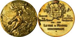 World Coins - France, Medal, Grande Guerre, La Ville de Meudon reconnaissante, Coudray